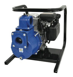 AMT Solids Handling Pump 2" NPT Briggs & Stratton OHV Engine (2G4XACR)