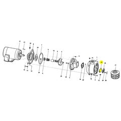 AMT Pump Cleanout Gasket Neoprene (2115-003-00)