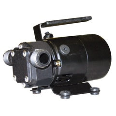 Barnes Transfer Pump 1/12HP, 120V, Single Phase (BT12)