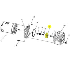 AMT Pump Repair Part Impeller XCI 1HP 1PH (2850-010-07)
