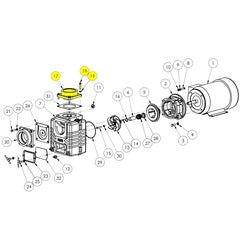 AMT Pump Repair Part 4" NPT Discharge Flange Subgrp/Kit (4870-080-95)