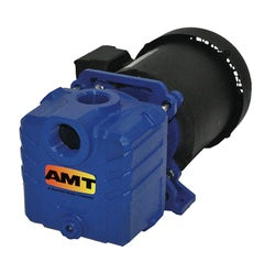 AMT Pumps Centrifugal Pump 1-1/4" NPT Cast Iron (285H-95)