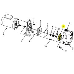 AMT Pump Repair Part Impeller XSS 0.33HP (4294-010-00)