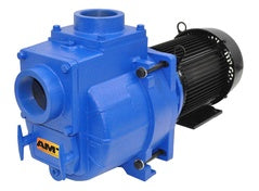 AMT Pumps Sewage / Trash Pump 3" NPT (394G-95)