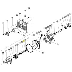 Barnes Seal, Lip, 1.250" (026308)