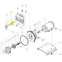 Barnes Check Valve Assembly (018387)