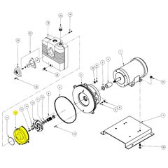 Barnes Volute, CI (019102)