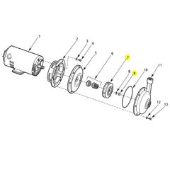 AMT Pump Repair Part Impeller Kit 2.00HP 3PH (5534-011-98)