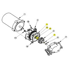 Seal kit BUNA for 569 series pumps (5690-300-KT)