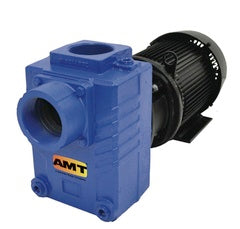AMT Pumps Centrifugal Pump 3" Cast Iron (2878-95)