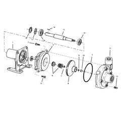 AMT Pump Repair Part VITON Gasket/O-Ring Subgroup Kit (4900-301-90)