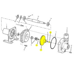 AMT Pump Repair Part IMP XSS 2.00HPODP/3.00HPTEFC (4905-010-98)