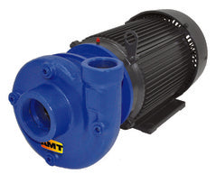 AMT Pumps Heavy Duty Straight Centrifugal Pump 316 Stainless Steel (4242-98)