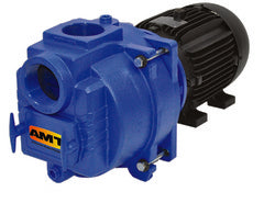 AMT Pumps Sewage / Trash Pump 3" NPT (394A-95)