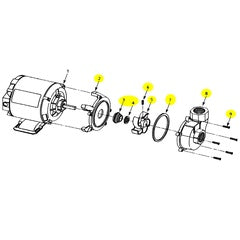 AMT Pump Kit 3201-96 (3201-K6)