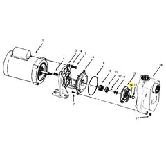 AMT Pump Repair Part O-Ring Teflon (2105-031-00)