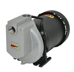 AMT Pumps Centrifugal Pump 1" Stainless Steel (429N-98)
