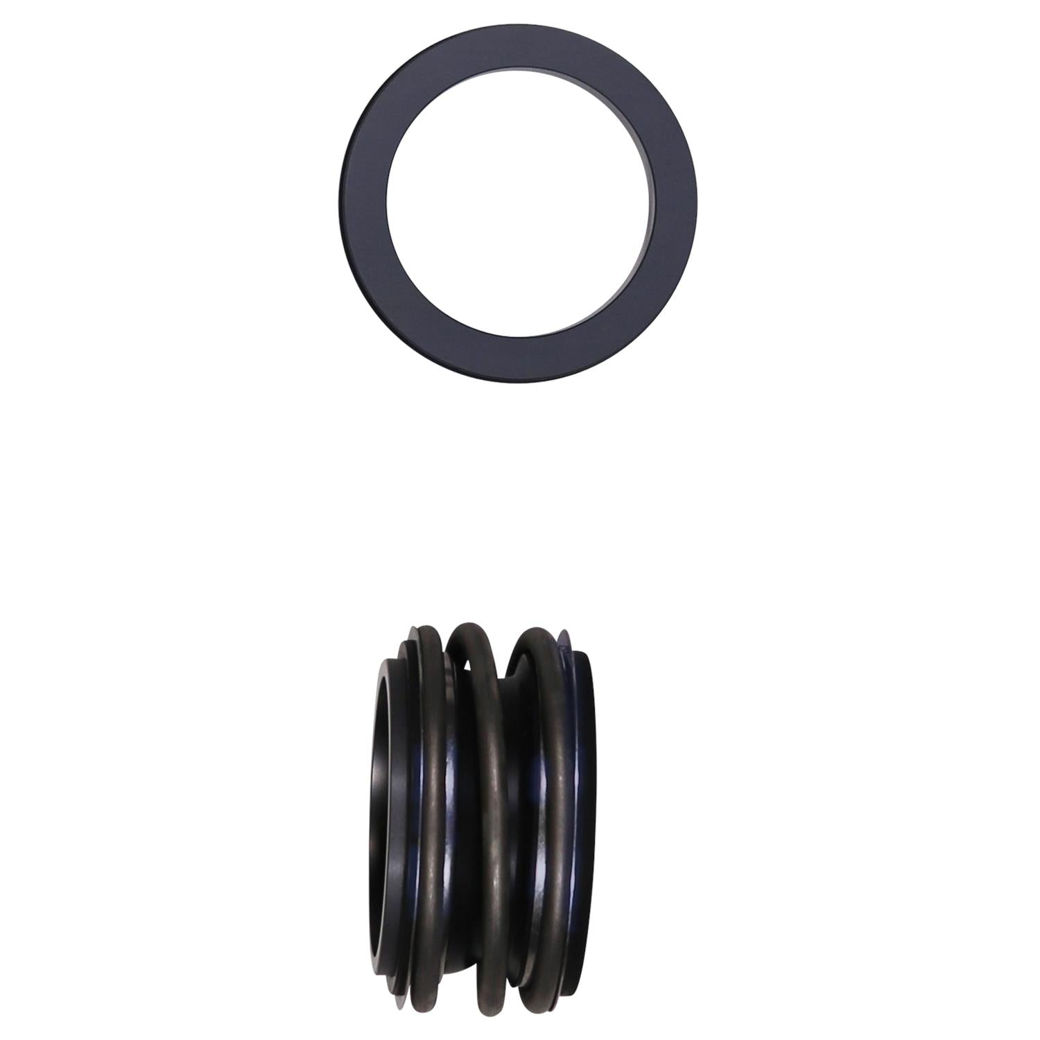 Grundfos 97685570 - Shaft Seal BQQV GG D55