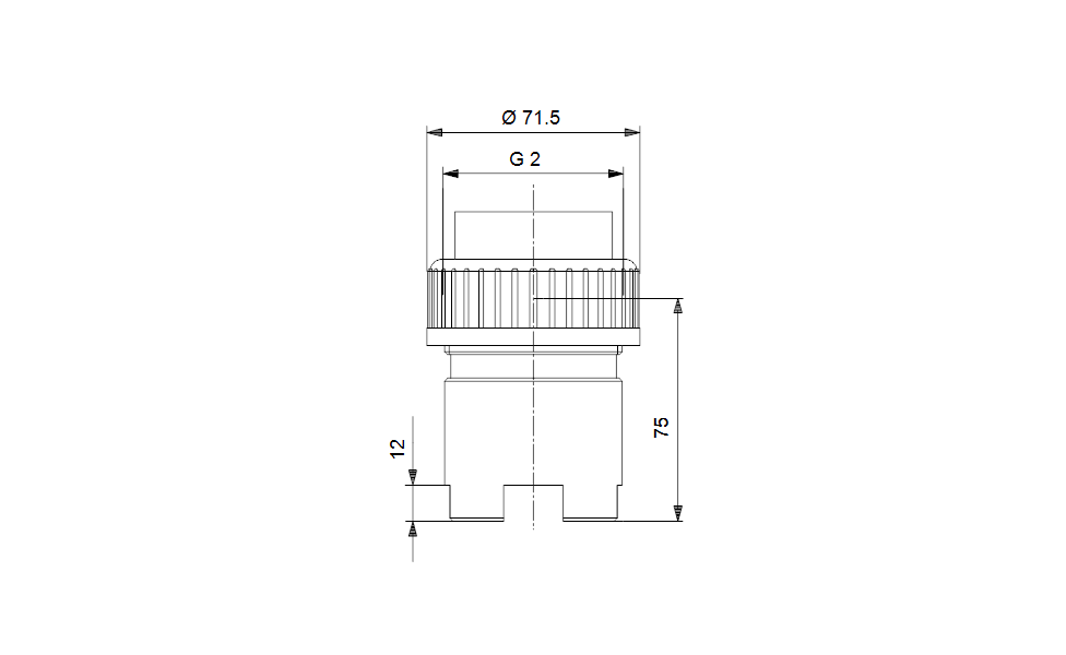 Grundfos 96566147 - Foot Valve