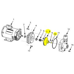 AMT Pump Repair Part Impeller 1.00HP 12V (489G-011-98)