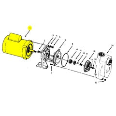 AMT Pump Repair Part 1.50HP 1PH TEFC 60/50HZ (1626-304-00)
