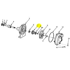 Seal Subgroup Viton JC Type 6A (1640-161-95)
