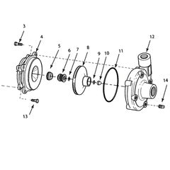AMT Pump Kit 4893-95 (4893-K5)