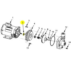 AMT Pump Repair Part Rubber Flinger Washer for 56J Motor (1534-000-00)