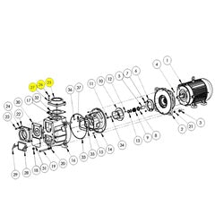 AMT Pump Repair Part 4" Discharge Flange Subgroup Kit (399C-080-95)