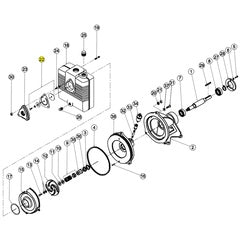 Barnes Check Valve (017718)