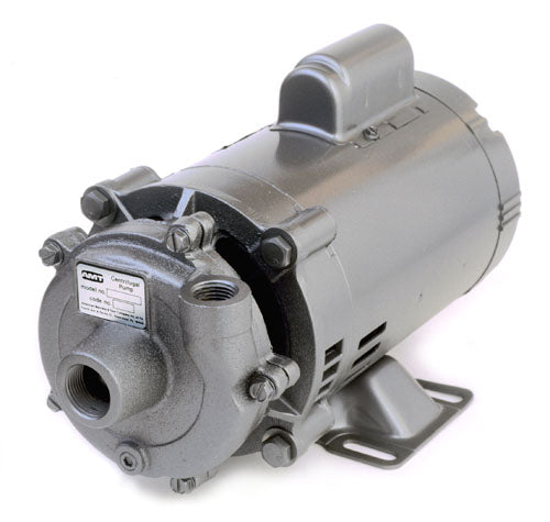 AMT 1/3 HP CI Straight Centrifugal Pump