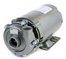 AMT 1-1/2 HP CI Straight Centrifugal Pump - 369A-95