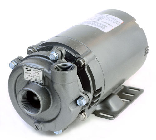 AMT 1-1/2 HP CI Straight Centrifugal Pump - 369B-95