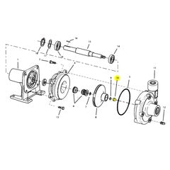 AMT Pump Repair Part 7/16-20 Acorn Nut - SS (1784-001-00)