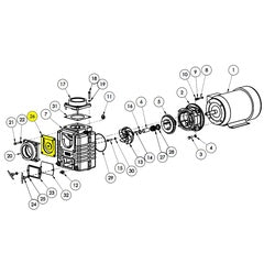 Pump Repair Part Check Valve Assembly Viton (399C-075-90)