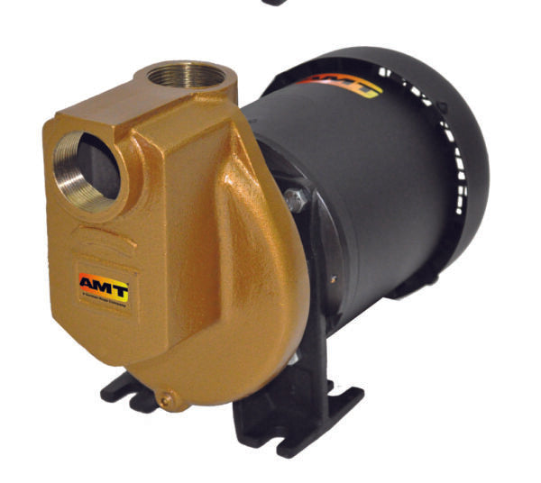 AMT 1-1/2" x 3/4 HP Electric Driven Chemical Pump - 3890-97