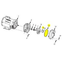 AMT Pump Repair Part VITON Gasket/O-Ring Subgroup Kit (3680-300-91)