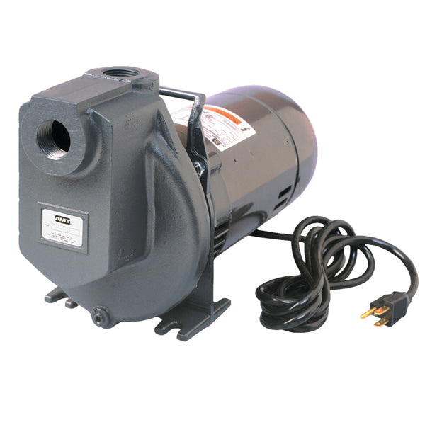 AMT 1" x 1/2 HP Aluminum Utility Pump