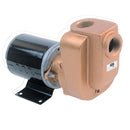 AMT 3/4" x 12VDC Marine Pump - 4851-97