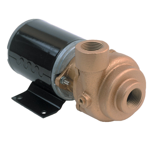 AMT 3/4" x 12VDC Marine Pump - 4861-97