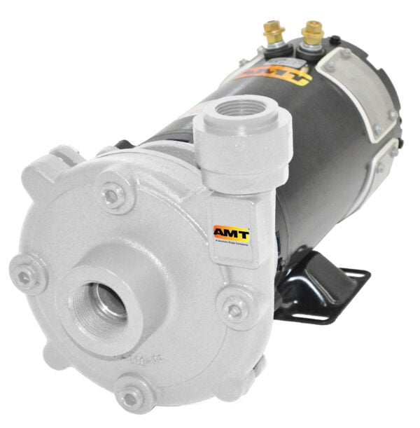 AMT 7/8 HP 12V DC SS High Head Washdown Pump