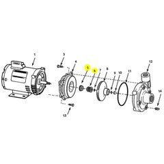 AMT Pump Repair Part VITON TYPE 21 SPL Seal Subgroup Kit (1640-161-97)