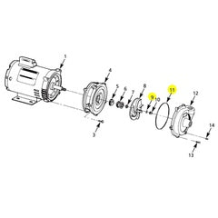 AMT Pump Repair Part BUNA Gasket/O-Ring Subgroup Kit (3690-300-90)