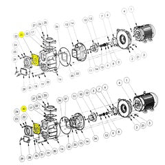 AMT Pump Repair Part Flapper Valve Subgroup / Kit (399C-070-90)