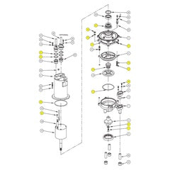 Barnes Seal Kit SGVF (113299)