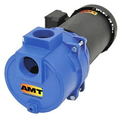 AMT Pumps Sewage / Trash Pump 2" NPT (393A-95)
