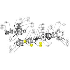 AMT Pump Repair Part EPDM/EPR O-Ring/Gasket Subgrp Kit (1A31-306-90)