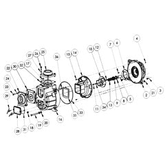 AMT Pump End Kit Model 394G-95 3" NPT (394G-K5)