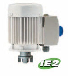 Lutz Drum Pump Motor B70V-H 2HP 208/230/460V 3ph 60Hz (0172-765-1)