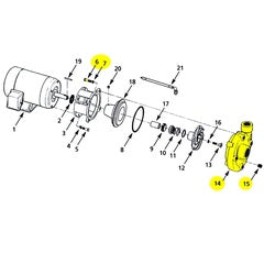 AMT Pump Repair Part Casing XSS 2X1.5 (4240-003-98)